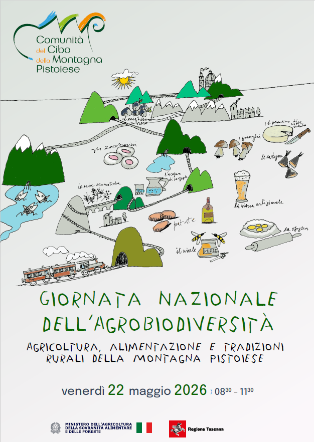 immagine articolo