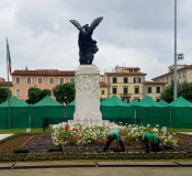 immagine articolo