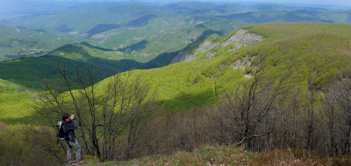 Foreste, dalla Regione 6,5 milioni alle Unioni dei Comuni montani